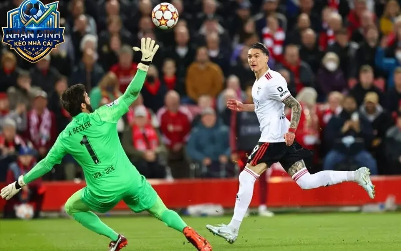 Các yếu tố then chốt ảnh hưởng đến tỷ lệ kèo bóng đá